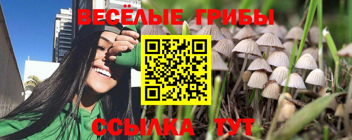 Псилоцибиновые грибы Cubensis Семёнов